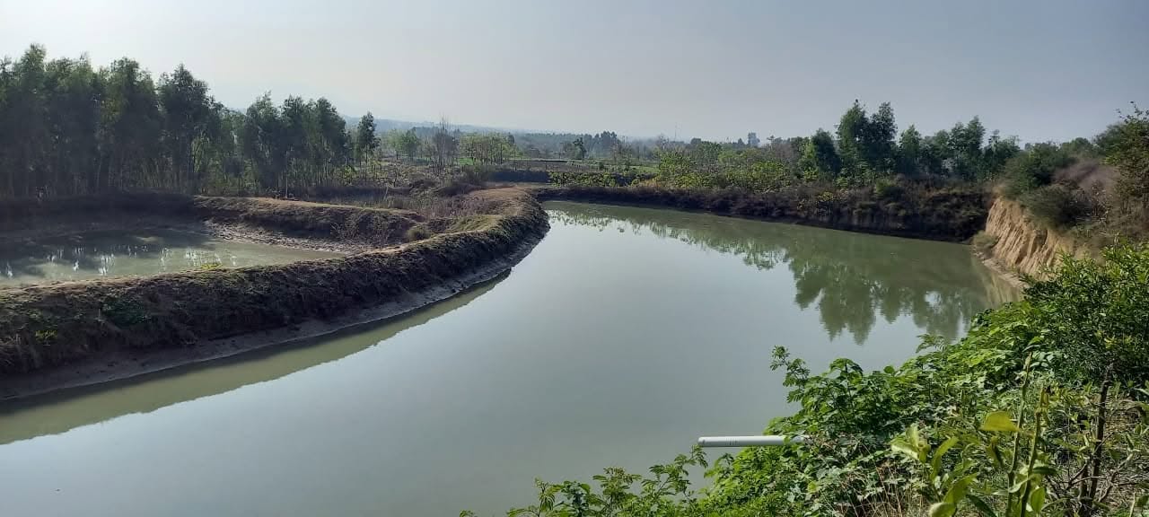 Zaynab Fish Farm